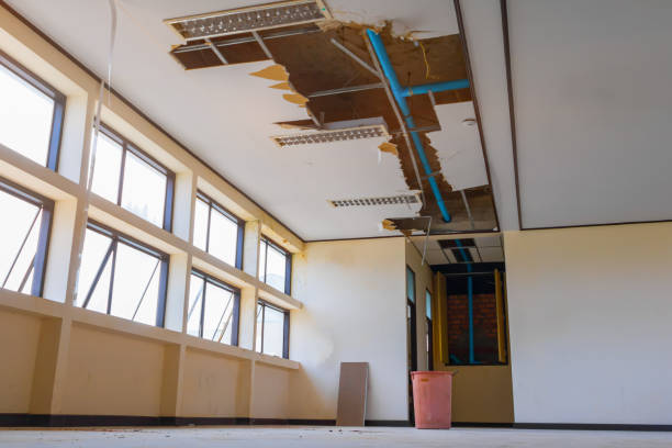 Trusted New Boston, OH Water damage restoration Experts