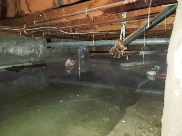  New Boston, OH Water damage restoration Pros