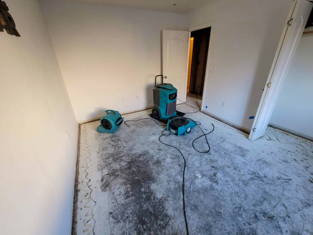 Best Water damage restoration insurance claims  in New Boston, OH