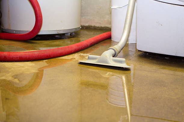 Best Water damage contractors near me  in New Boston, OH