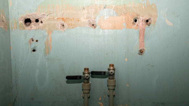 Best Fire Damage Restoration  in New Boston, OH