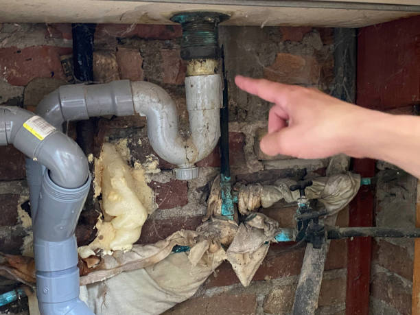 Carpet water damage restoration in New Boston, OH