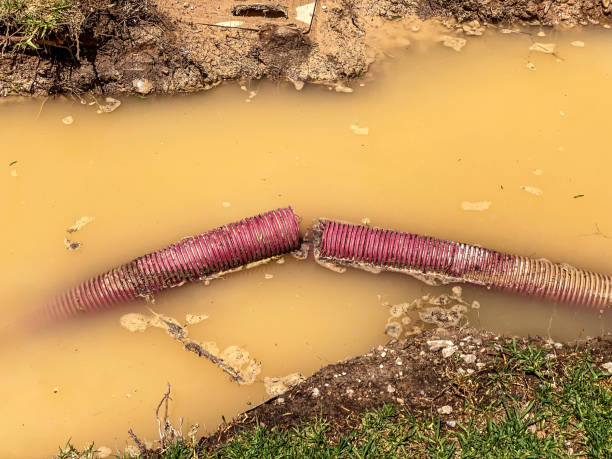 Reliable New Boston, OH Water damage restoration Solutions