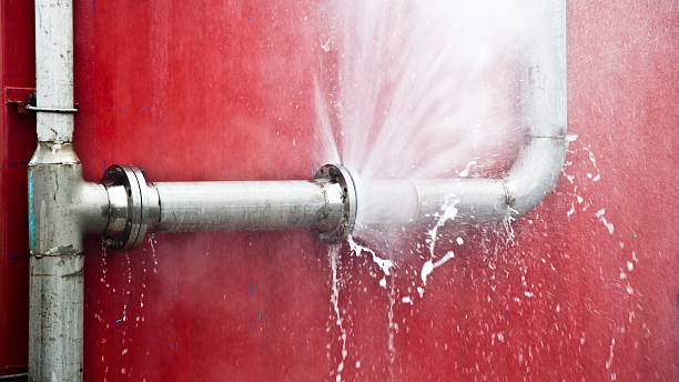 Best 24/7 water damage repair  in New Boston, OH